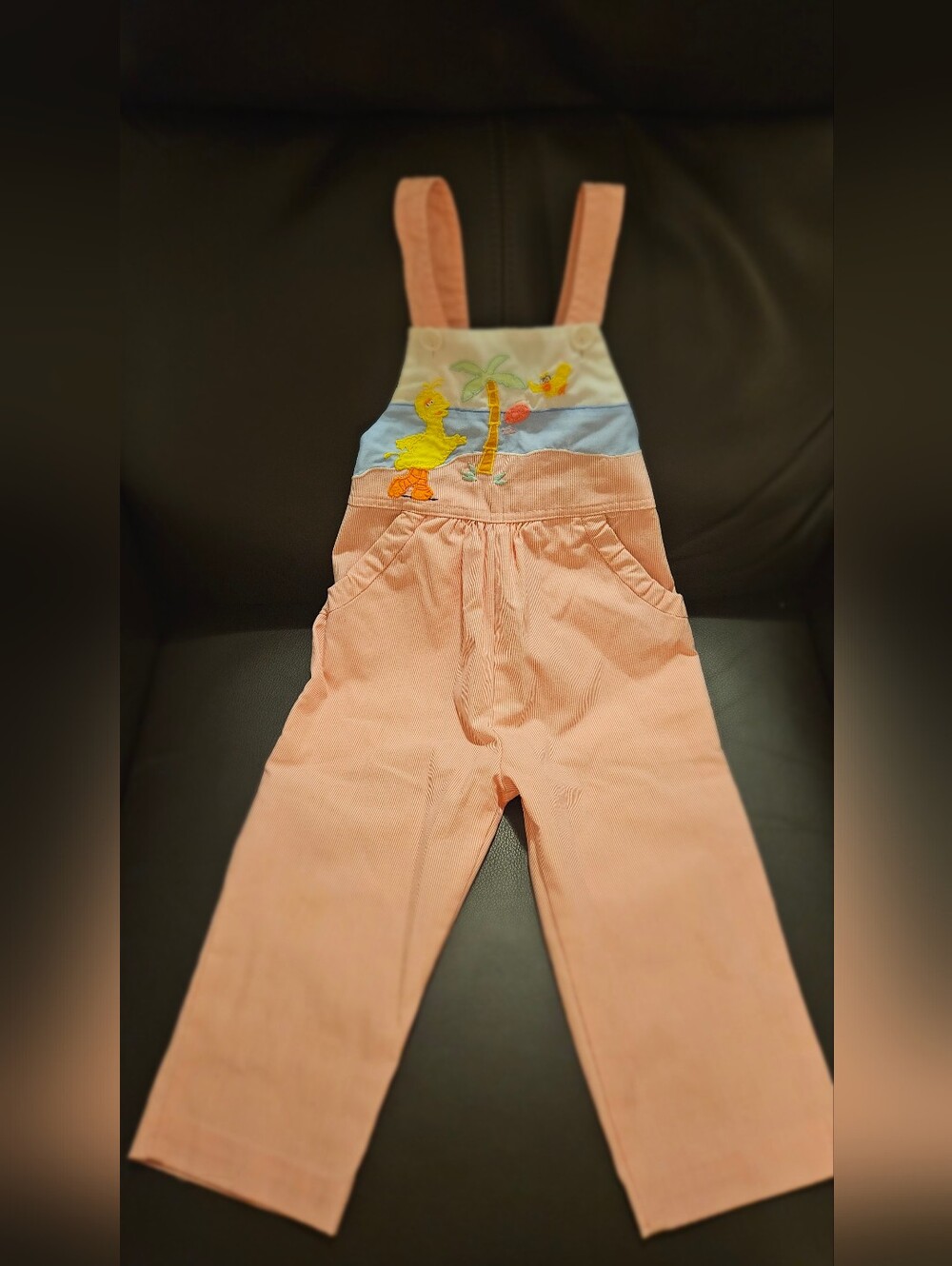 Vintage! Sesame Street Pinstripe Overalls With Big Bird, Size 1 Toddler